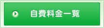 自費料金一覧